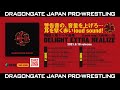 R・E・D サウンドトラック「DELIGHT EXTRA REALIZE」08.18 OUT!