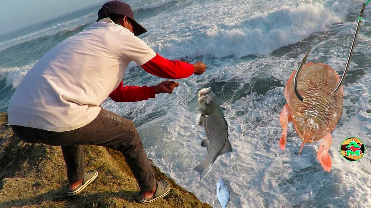 PESCANDO PECES CON ANZUELO EN EL MAR - PESCA en Agua Salada 