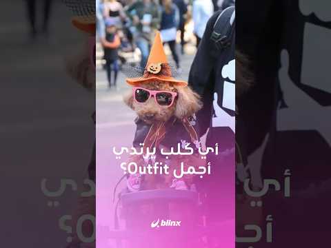 احتفالا ب الهالوين مسيرة الكلاب الثرية والم رف هة بأزيائها الم خيفة والم ضحكة والأنيقة في نيويورك