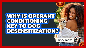 Why Is Operant Conditioning Key To Dog Desensitization? - Obedient Dog Guide