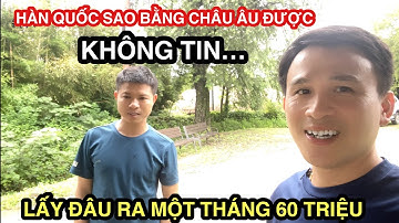 #250 Làm Lương 1 Tháng 60 Triệu Ở Hàn Quốc Đâu Phải Dễ…?