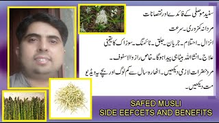 Safed Muslimoosli Ke Fayday Aor Side Effects , Chlorophytum Borivilianum Asparagaceae Benefits