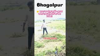 Bhagalpur new plot selling ke lye aaya hai #bhagalpurproperty #minivlog
