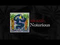 Miniature de la vidéo de la chanson Notorious