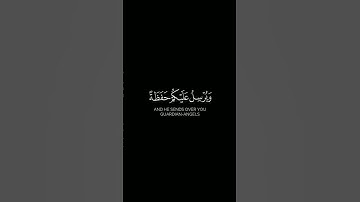 وهو القاهر فوق عباده# الأنعام#فارس_عباد - كرومات قرآن الكريم شاشة سوداء