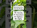 Only A Genius Can Spot The Mistake Epi 1126 Try Your Skills Search Puzzle Shorts Only A Genius Can Spot The Mistake Epi 1126 Try Your Skills Search Puzzle Shorts