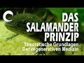 Dr. Michael Ofner: Das Salamander-Prinzip - Theoretische Grundlagen der regenerativen Medizin