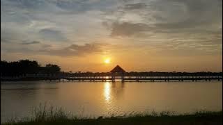 Download lagu lany - 'cause i have to (slowed   reverb)