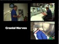 Neurological Assessment of a diver - IMCA D036