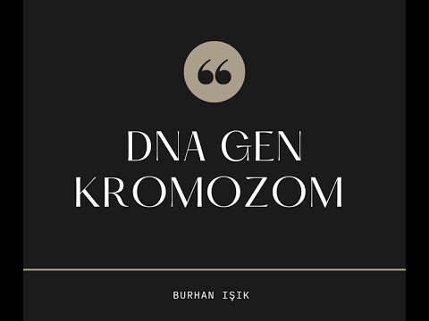 Kromozom , DNA ,Gen , Nükleotid