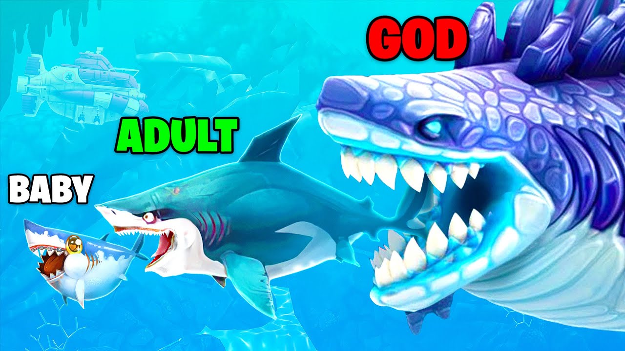 Hungry Shark Evolution