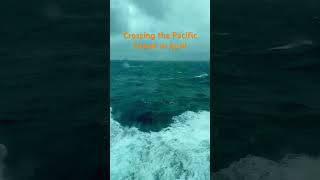 Pacific Ocean crossing on ms Westerdam with roughly 6 meter seas #travel #cruiselife