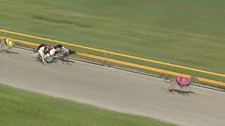 Albion-Park-Monday-19042021-Race-1