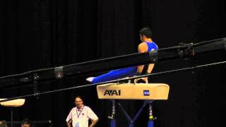 Alex Naddour -- Pommel Horse -- 2012 Visa Championships -- Sr. Men -- Day 2