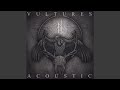 Vultures acoustic