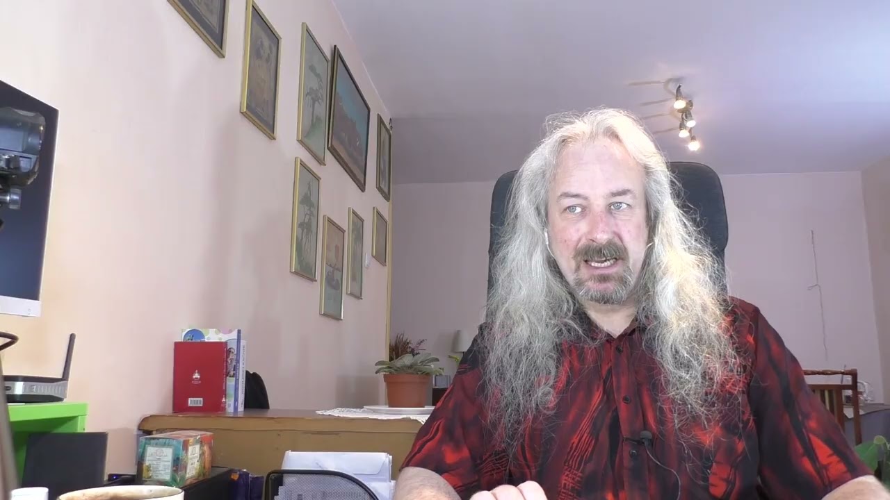 Жареный курятник: мысли по поводу государева мессенджера — Transcript