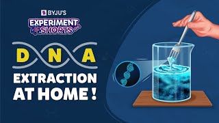 How To Extract DNA From Banana? | DNA Extraction At Home | Experiment Shorts | #YTShorts