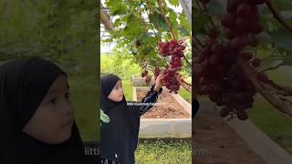 Littel muslimah, big charm #muslimah #hijab #hijabanak #khimar