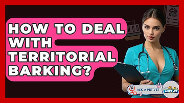 How To Deal With Territorial Barking? - Ask A Pet Vet