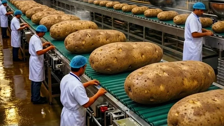 Inside the Lays Factory: How Millions of Chips Are Made Every Day