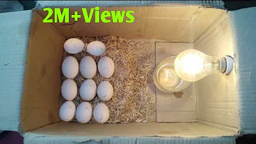 How To Make Egg incubator at Home without temperature controler || Hatching result