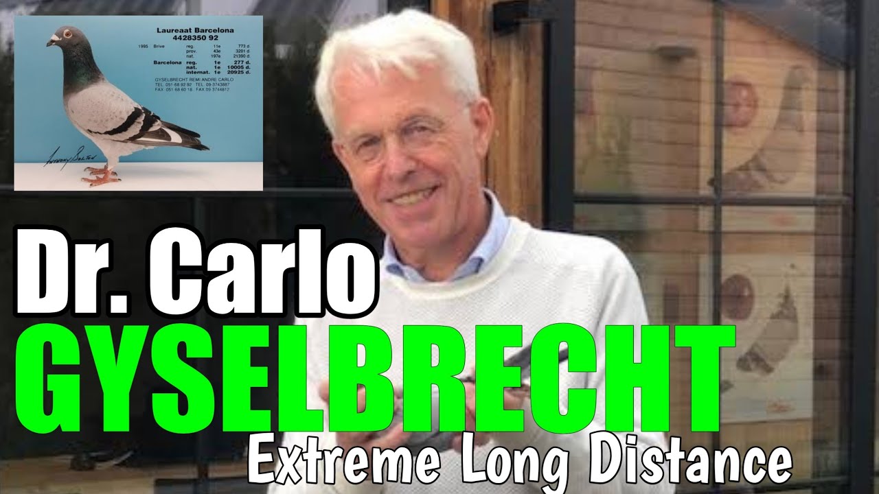 Доктор Карло Гизельбрехт - победитель и заводчик выставки "Laureaat Dynasty" в Барселоне