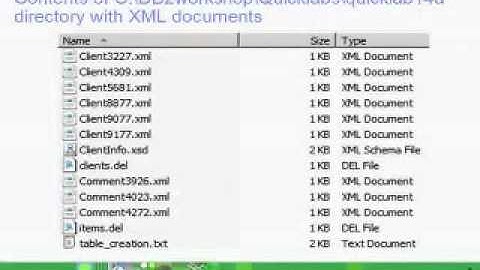 Chapter 11(2) - Inserting XML into the database