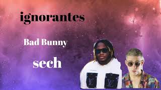 Ignorates sech ft bad bunny