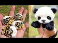 самые милые животные видео сборник милый момент животных   самые милые животные # 21