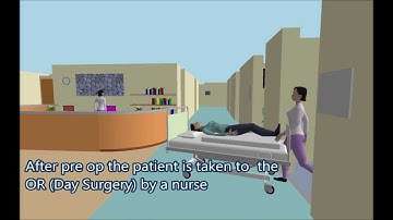 Simio Day Surgery Simulation