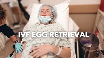 IVF Egg Retrieval! || Egg Count, Going Under Anesthesia, and Final Embryo Results!