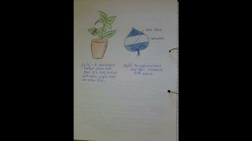 Lab manual biology std 10 experiments  Study made easy with Parul