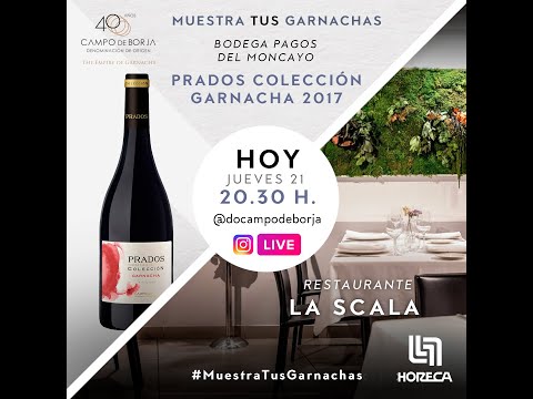 Bodega Pagos del Moncayo con su vino Prados Colección Garnacha 2017 y Restaurante La Scala
