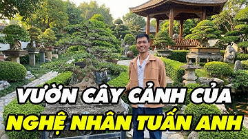 Nghệ nhân Tuấn Anh bây giờ có vườn cây đẹp quá