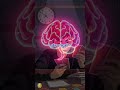 Active Recall The Ultimate Study Technique