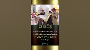 أدعية من السنة النبوية  القارئ أنس الميمان