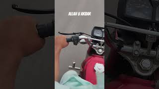Surah Al ankabut ayah 56-60 Urdu translation #quran #islam #nature