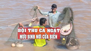 ĐẠP HANG BẮT CẶP CÁ NGÁT KHỔNG LỒ _ TẬP 1 SẢN VẬT MIỀN TÂY