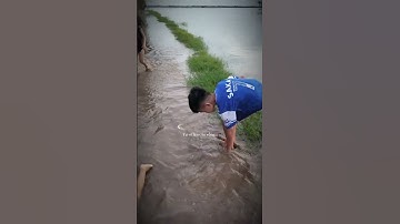 Tây Ninh mùa nước nổi.. cả nhà đi bắt ốc...... và tắm cạn...,...