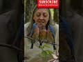 The Forest Choir Found Me