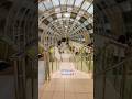 UP Express in Union Station Toronto Canada #shorts
