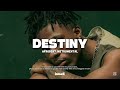 "DESTINY" - Afrobeat instrumental type beat 2026