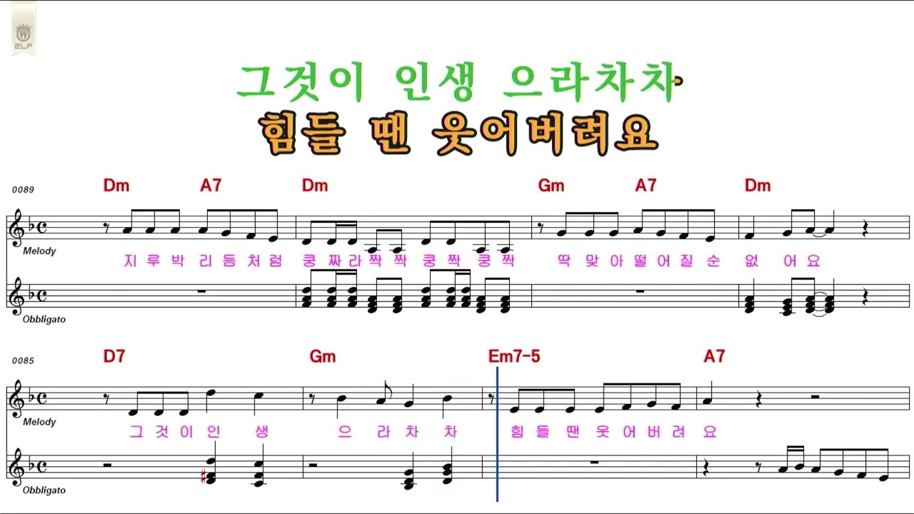 있잖아MR(elf) -Dm(남자키) 개그맨 김주철(있잖아) 전국노래마당 초대가수 아트뮤직TV