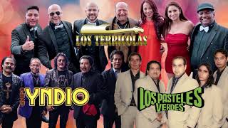 TERRICOLAS, PASTELES VERDES y YNDIO MIX EXITOS ROMANTICOS - VIEJITAS PERO BONITAS RECUERDOS DEL AYER