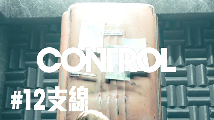 【Control 控制】#12 支线 : 冰箱搞定后，播放一张唱片 (PC) 1080P 60FPS *剧情攻略* - 天天要闻