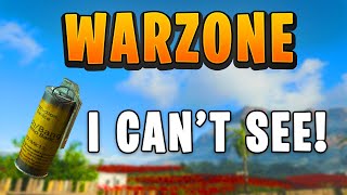 Are Flash Grenades Better Than Stuns in Warzone | 18 KILLS SOLOS