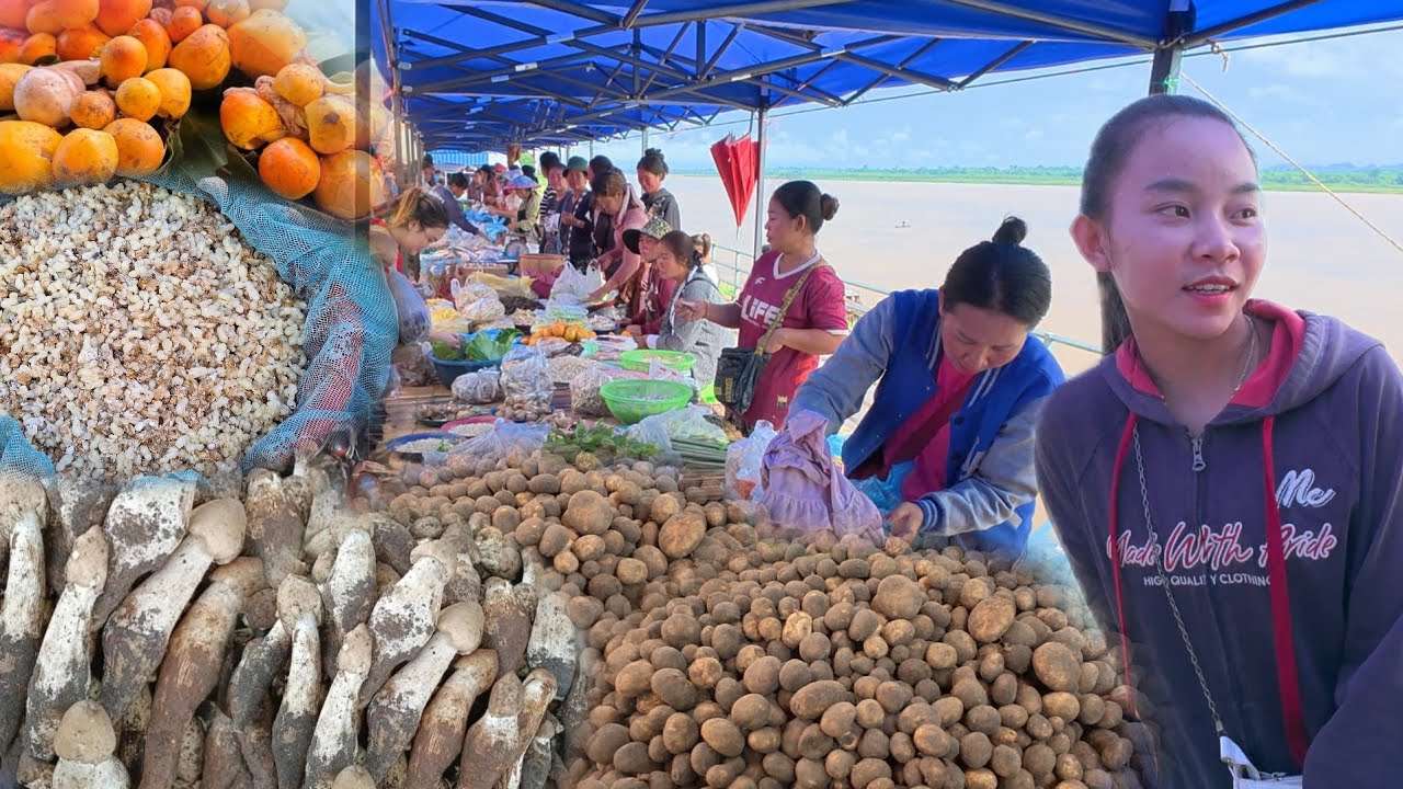 เลาะตลาด Ep #18 เห็ดระโงก เห็ดปลวก #ตลาดนัดไทยลาว ท่าอุเทน จังหวัดนครพนม