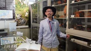 1 - 考古遺物の世界・収蔵展示