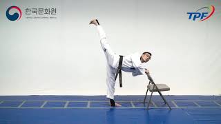 Taekwondo Online: Clase 6, patadas básicas