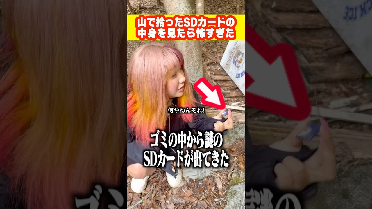 山で拾ったSDカードの中身を確認したらとんでもない動画が入ってた…#shorts